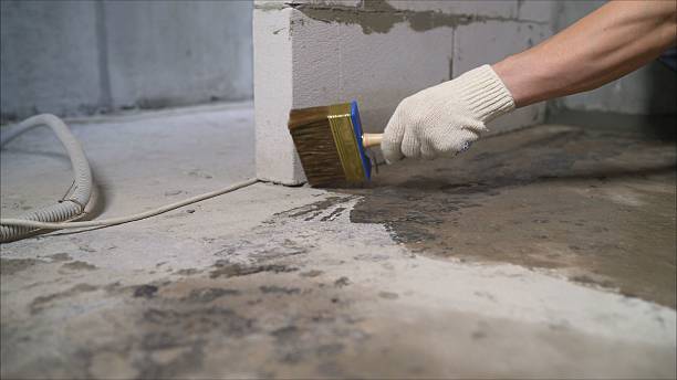 SJ Waterproofing Pros Waterproofing coverage map for Belmar, NJ and surrounding area